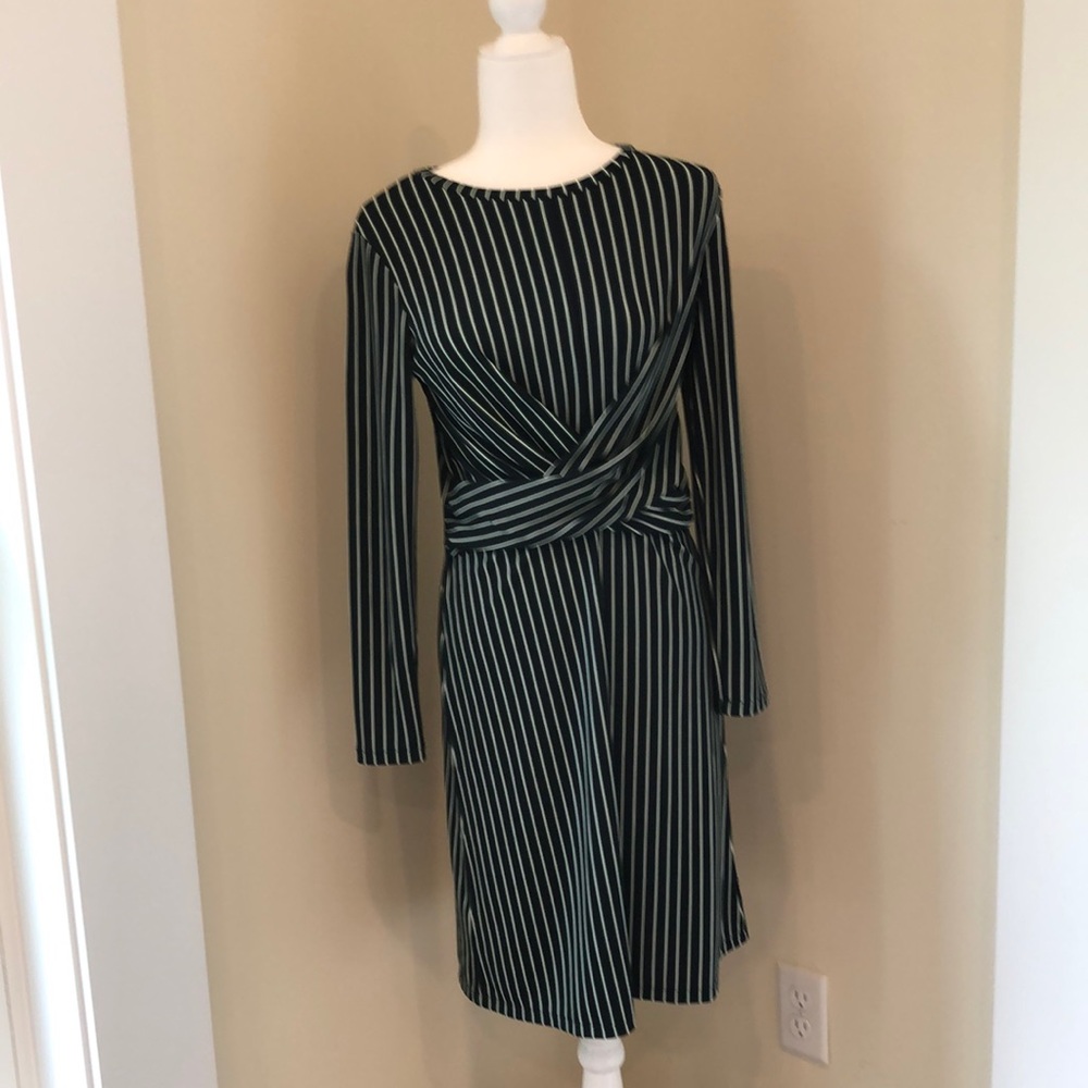 NWT Ann Taylor Dress